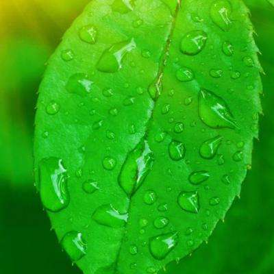 开元·app手机app下载